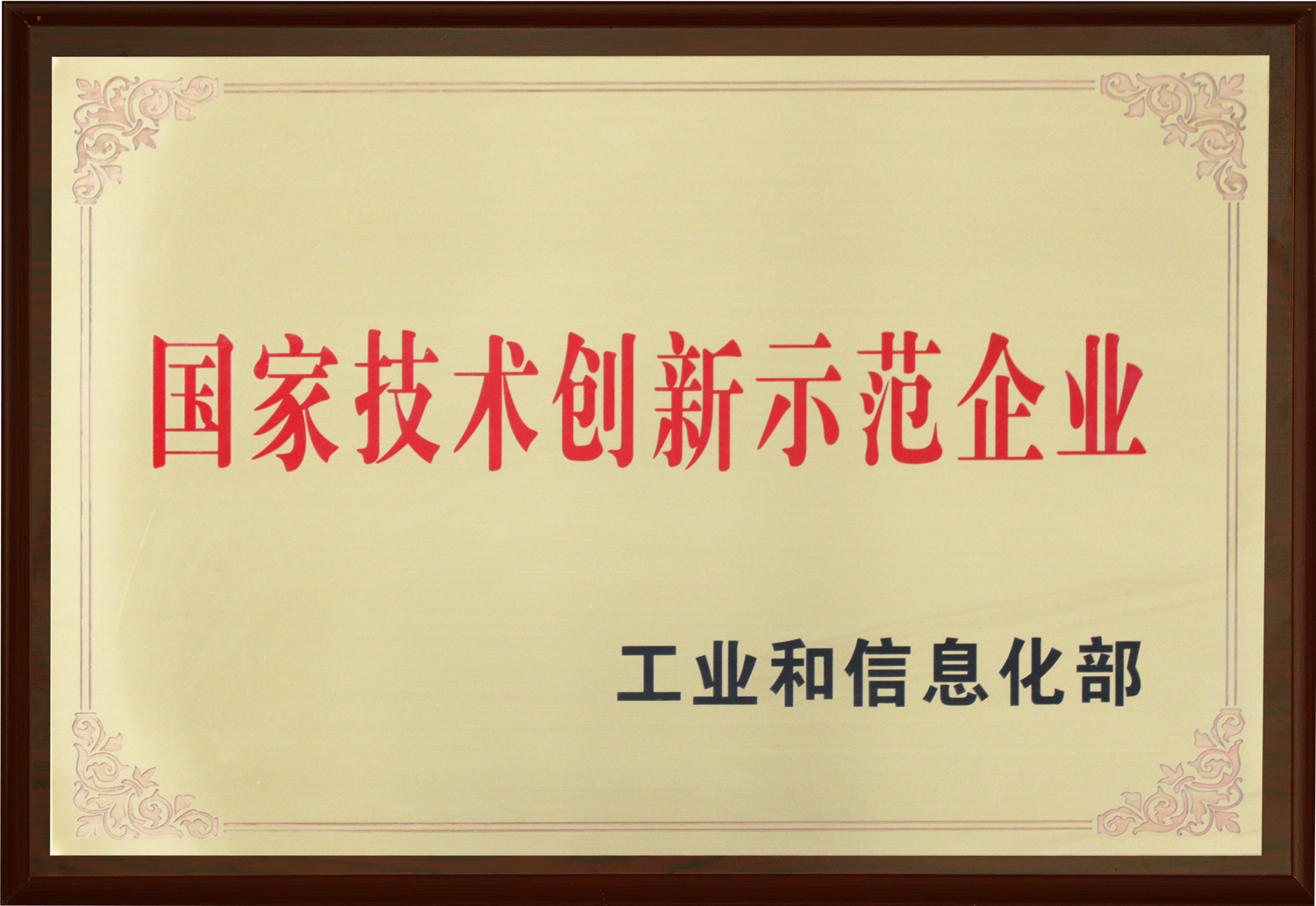 National Technological Innovation Demonstration Enterprise