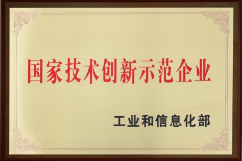 國家技術創新示范企業